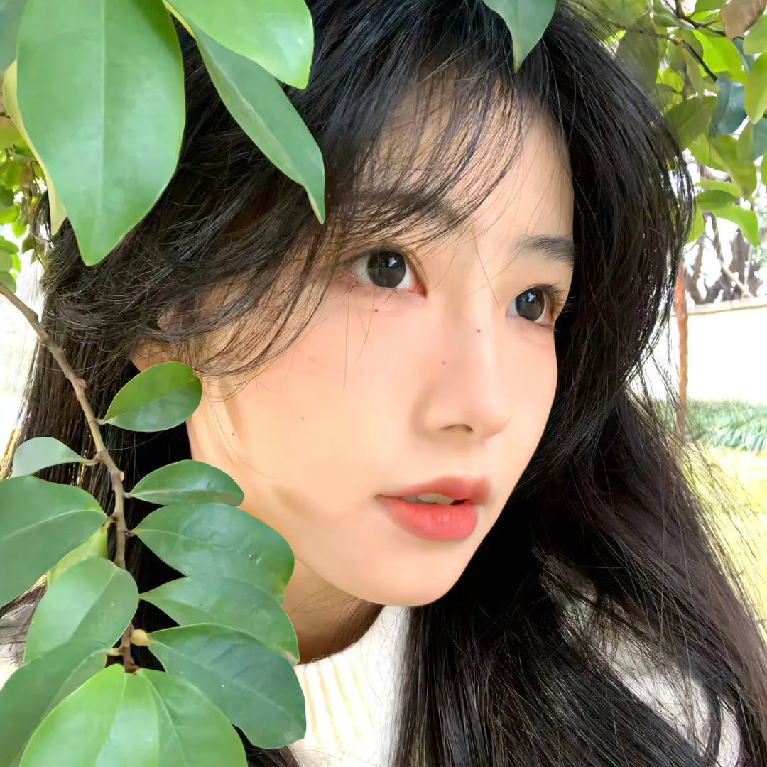 禁脔